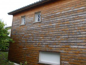 maison bois